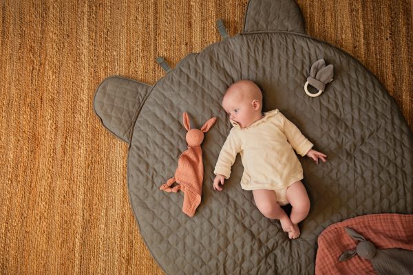 Bear Playmat