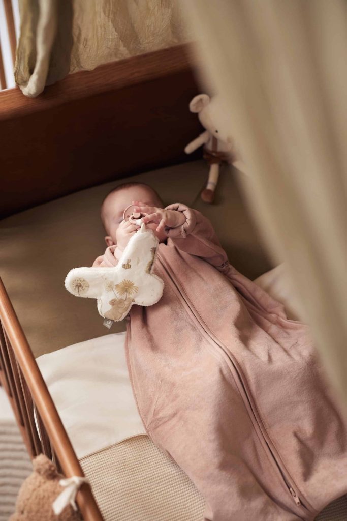 Pacifier Cloth - Dreamy Mouse